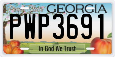 GA license plate PWP3691