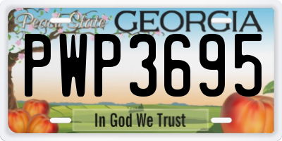 GA license plate PWP3695