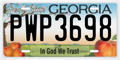GA license plate PWP3698