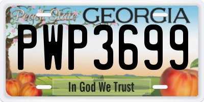 GA license plate PWP3699