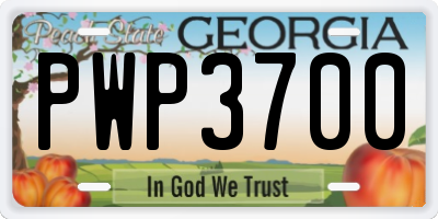 GA license plate PWP3700