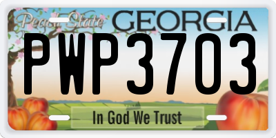 GA license plate PWP3703