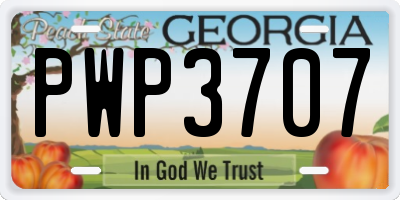 GA license plate PWP3707