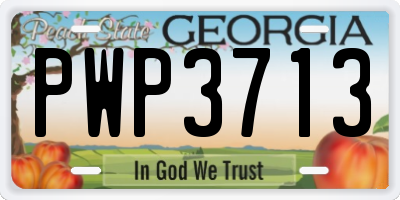 GA license plate PWP3713