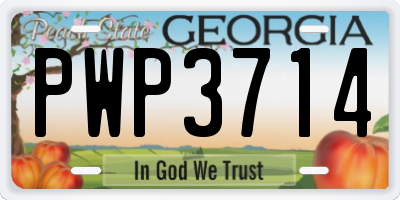 GA license plate PWP3714