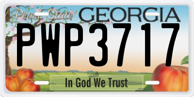 GA license plate PWP3717