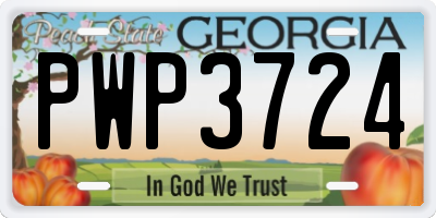GA license plate PWP3724
