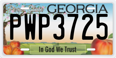 GA license plate PWP3725