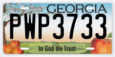 GA license plate PWP3733