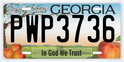 GA license plate PWP3736