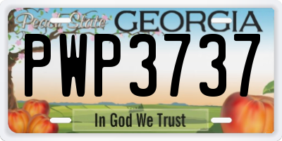 GA license plate PWP3737
