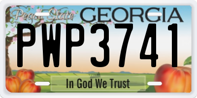 GA license plate PWP3741