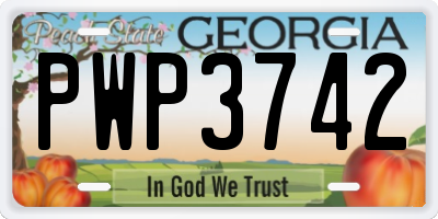 GA license plate PWP3742