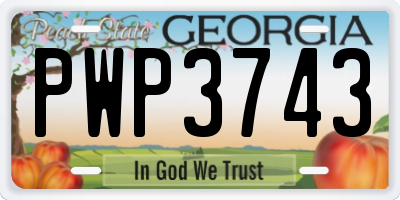 GA license plate PWP3743