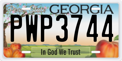 GA license plate PWP3744