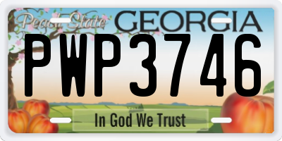 GA license plate PWP3746