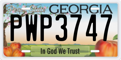 GA license plate PWP3747