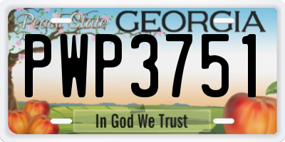 GA license plate PWP3751