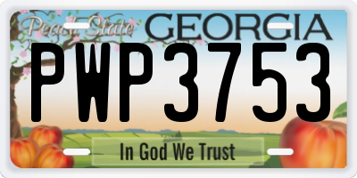 GA license plate PWP3753