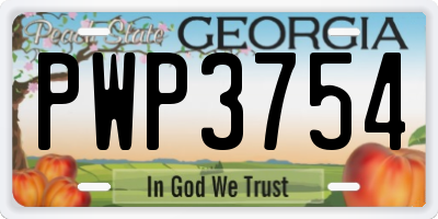 GA license plate PWP3754