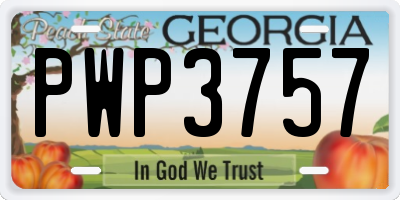 GA license plate PWP3757