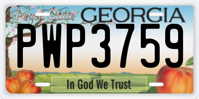 GA license plate PWP3759