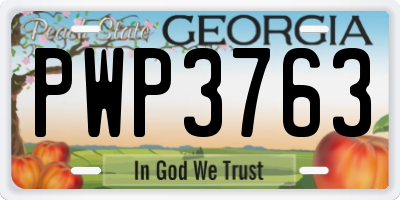 GA license plate PWP3763