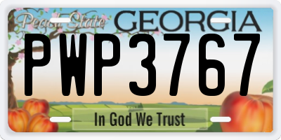 GA license plate PWP3767