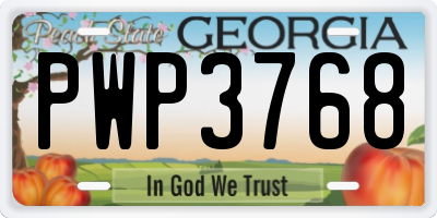 GA license plate PWP3768
