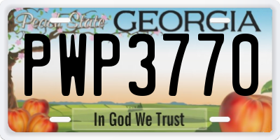GA license plate PWP3770