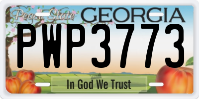 GA license plate PWP3773