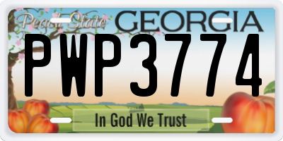 GA license plate PWP3774