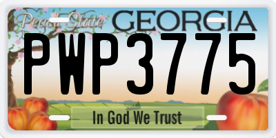 GA license plate PWP3775