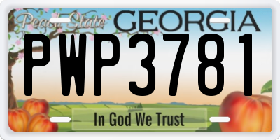 GA license plate PWP3781