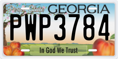 GA license plate PWP3784