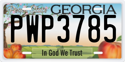 GA license plate PWP3785