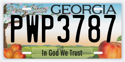 GA license plate PWP3787