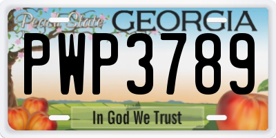 GA license plate PWP3789