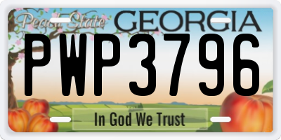 GA license plate PWP3796
