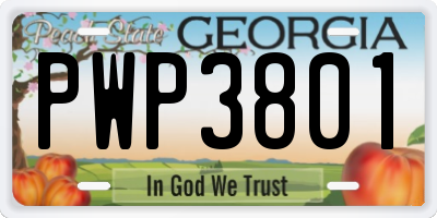 GA license plate PWP3801
