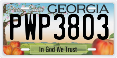 GA license plate PWP3803