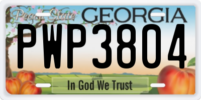 GA license plate PWP3804