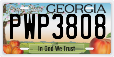 GA license plate PWP3808