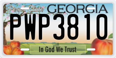 GA license plate PWP3810