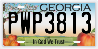 GA license plate PWP3813