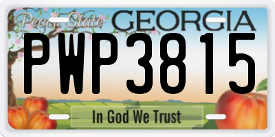 GA license plate PWP3815