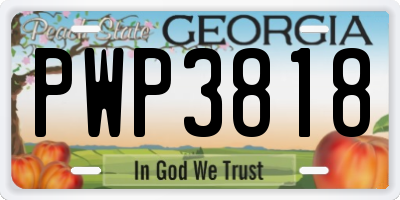 GA license plate PWP3818