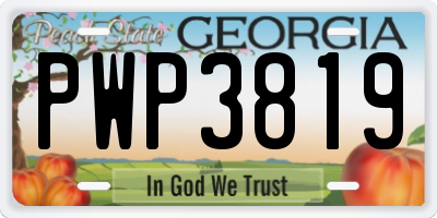 GA license plate PWP3819