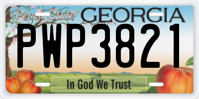 GA license plate PWP3821