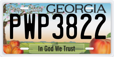 GA license plate PWP3822
